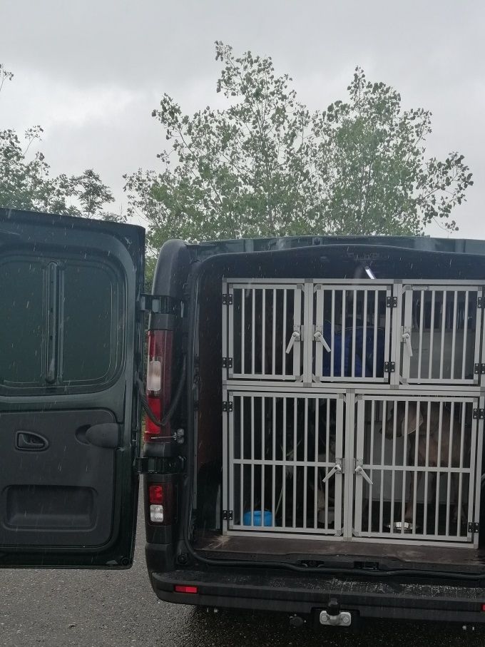 De hondenbus is uitgevoerd met dubbele airconditioning en permanente verlichting en heeft diverse compartimenten voor scheiding van de honden.